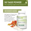 PlusVive Probio 17 Plus Capsules High Dose I 1 x