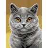 Wizardi Needlepoint Canvas for halfstitch Without Yarn British Shorthair 3356F