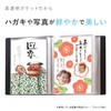SEKISEI album pocket Postcard Holder High Clear A6 – Small kg Postcards