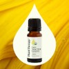 Plan Therapy - Aceite Esencial De Ylang Ylang 10ml