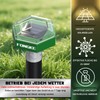 Mole Repeller Vole Repeller, Pack of 2 Vole Shot Traps,