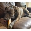 The safest All-Natural Cheese Chews - XLarge (Pack of 3)