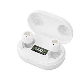 Hearing Aids for Seniors, for People with Hearing Loss, Rechargeable Mini Noise Reduction Hearing Aid, Comfortable Invisible In-Ear Hearing Aid, Magnetic Charging Case with LED Display