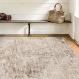 Abstract Area Rug for Living Room - 5x7 Washable Rug for Large Entryway, Mudroom, Home Office, Neatral Modern Contemporary & Non Skid Thin Décor