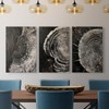 Renditions Gallery Circular Patterns Wall Art Monochrome Shadows Of Time