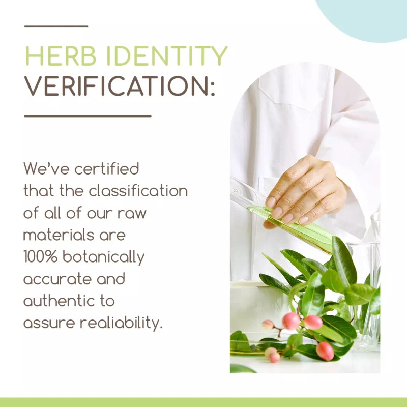 HerbEra Sarsaparilla Alcohol-FREE Tincture Organic (Hemidesmus indicus) - 4 fl