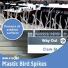 Bird-X Plastic Spikes Kit, Narrow Bird Spikes for Pigeons and