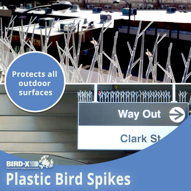 Bird-X Plastic Spikes Kit, Narrow Bird Spikes for Pigeons and