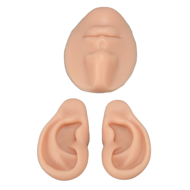 Silicone Ear Model Novice Simulated 3D Nose and Mouth Model