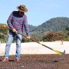 Nicecho Strong Dethatcher Rake 72" long /19 tines Garden tool