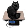Digital Parcel Scales Platform Scales 150 kg / 0.05 kg