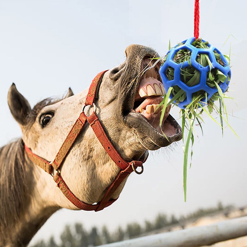 Besimple Hay Ball for Horses, Goats, Sheep, Stress Relief, Pack