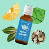 Plant Therapy Quiet Cough KidSafe Essential Oil Blend 30 mL