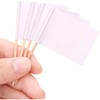 H&S 200 Toothpick Flags Blank White Cheese Cake Markers Flags