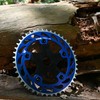 WFS Helix Chainring w/Spider Sprocket 44T 1/8" 110mm BCD 5