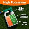Simple Lawn Solutions - High Potassium Lawn Food Liquid Fertilizer