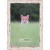 Poster Palooza 6x10 Shabby Chic/Farmhouse White Wood Frame - UV