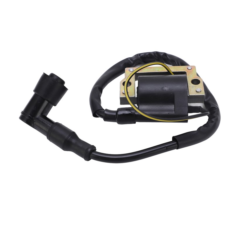 1 Pair Ignition Coil Low Emissions and Fuel Consumption Heat
