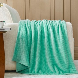 NEWCOSPLAY Super Soft Twin Blanket Aqua Premium Silky Flannel Fleece Leaves Pattern Lightweight Bed Blanket All Season Use (Aqua, Twin(60"x80"))