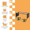 THE LICKER STORE DBL2001B Keaton 7.5" Medium/Large Modern Lucite Rectangular