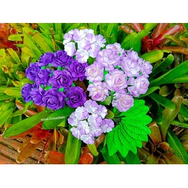 NAVA CHIANGMAI Mixed Mulberry Paper Rose Artificial Flowers Wedding centerpieces Embellishment Scrapbooking Dollhouse Supplies Card DIY Flower Accessories (Purple)