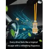 IKEDA Car Air Freshener, Multi- Scent, Hanging Bottle Design with