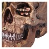 Nemesis Now, Bronze, Scrapped Skull Steampunk Skeleton Figurine, 19cm