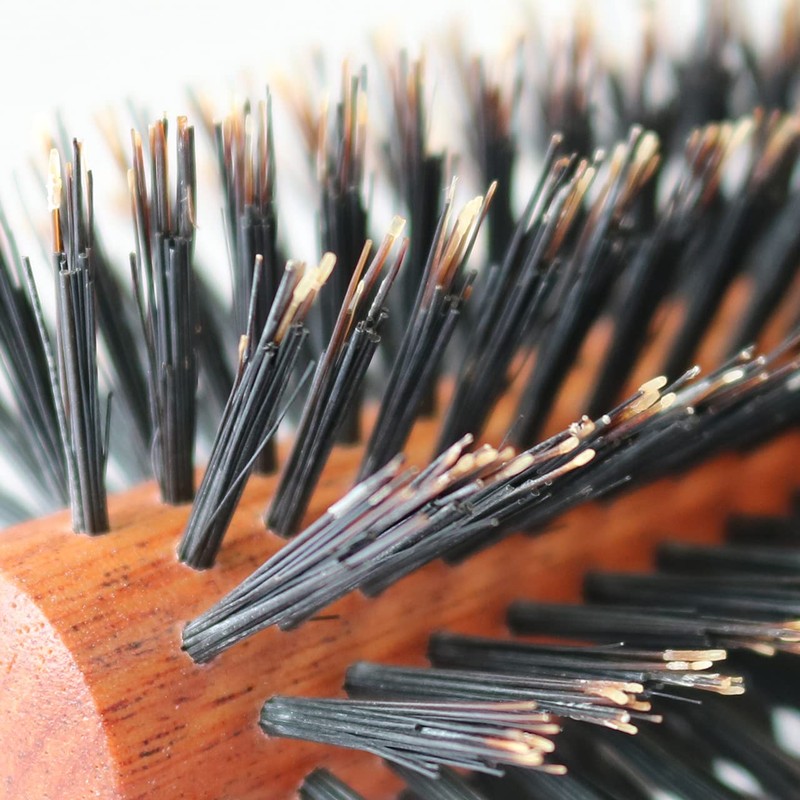 Sanby Industries HC Series HC-432 Roll Brush, Boar Hair +