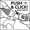 Buckle-Down Seatbelt Buckle Dog Collar - CatDog Hanging Out Poses