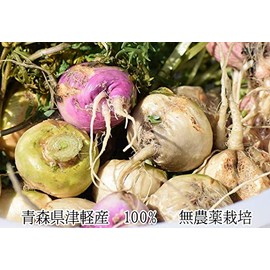 マカパウダー 国産 100g マカ 粉末 アルギニン リパーゼ