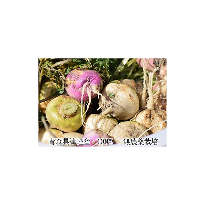 マカパウダー 国産 100g マカ 粉末 アルギニン リパーゼ