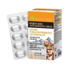 Maple Tree Enteric-Coated 10 Billion Live Probiotics 500mg 60 Capsules