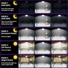 VOPHICHO Solar Shed Light Outdoor Indoor, Upgrade 244 LED 360°
