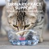Vet's Best Feline Urinary Tract Support Cat Supplement Gel Supports
