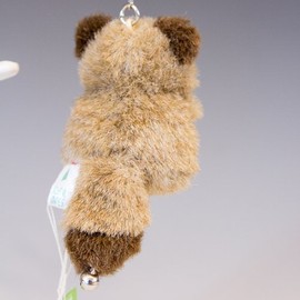 miniminikizzu Asiatic Raccoon