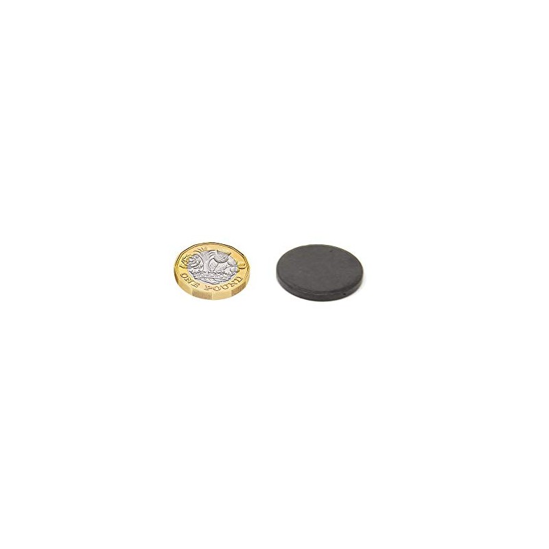 Magnet Expert Ltd - Confezione da 25 magneti a disco,