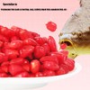 Vilbocr Power Bait Blood Corn Fishing BaitAncient Fermentation Method, Direct