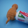 Funny Golden Retriever Puppy Poop Toothpaste Dispenser, Dog Toothpaste Topper,