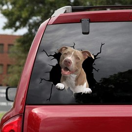 Funny Pitbull Car Stickers, Realistic Car Stickers, SUV Window Glass Stickers, Suitable for Cars, Notebooks, Fridges, Walls and Other Smooth Surfaces