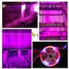 Plant Light for Indoor Plants,16.4FT Full Spectrum LED Plant Grow