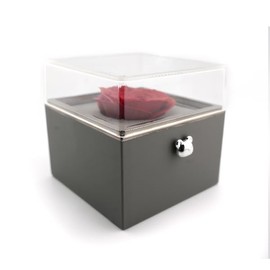 The Amore Box - Red Rose Jewelry Gift Box with Teddy Bear Button for Flip-Sides (Box Only)