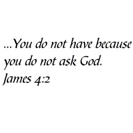 Tapestry Of Truth - James 4:2 - TOT12636 - Wall and Home Scripture, Lettering, Quotes, Images, Stickers, Decals, Art, and More! - ...You do not Have Because You do not Ask God. James 4:2