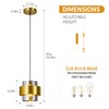 FDPBY Modern Gold Pendant Light with Smoke Gray Glass Shade
