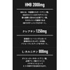 SAURUS(サウルス)　HMB　クレアチン　L-カルニチン　配合　マラソン トライアスロン　トレラン　ロードバイク　国産