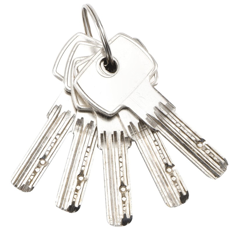 , High Security Padlock Rectangular Thick Shackle AntiTheft Iron D