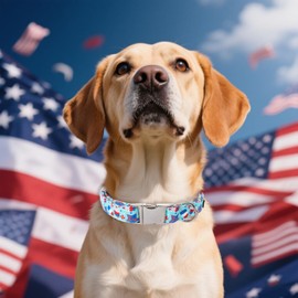 Maca Bates 4th of July Basic Dog Collar American Flag USA Patriotic 4 of 7 Dogs Collars Adjustable Soft Blue Independence Day Gift for Small Medium Large XL Boy Girl Male Female Puppy