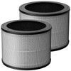 2 Pack 1712-0110-00 Replacement Filter O Compatible with Winix A231