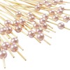 Cocktail Picks Toothpicks for Appetizers, Pink Bamboo Cocktail Sticks for