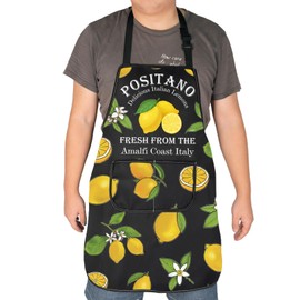 HOLLP Lemon Lover Gift Positano Italy Gifts Positano Delicious Italian Lemons Fresh from the Amalfi Coast Italy Apron (Positano)