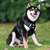 Doggiekit No Pull Dog Harness, Reflective Padded Vest Harness for